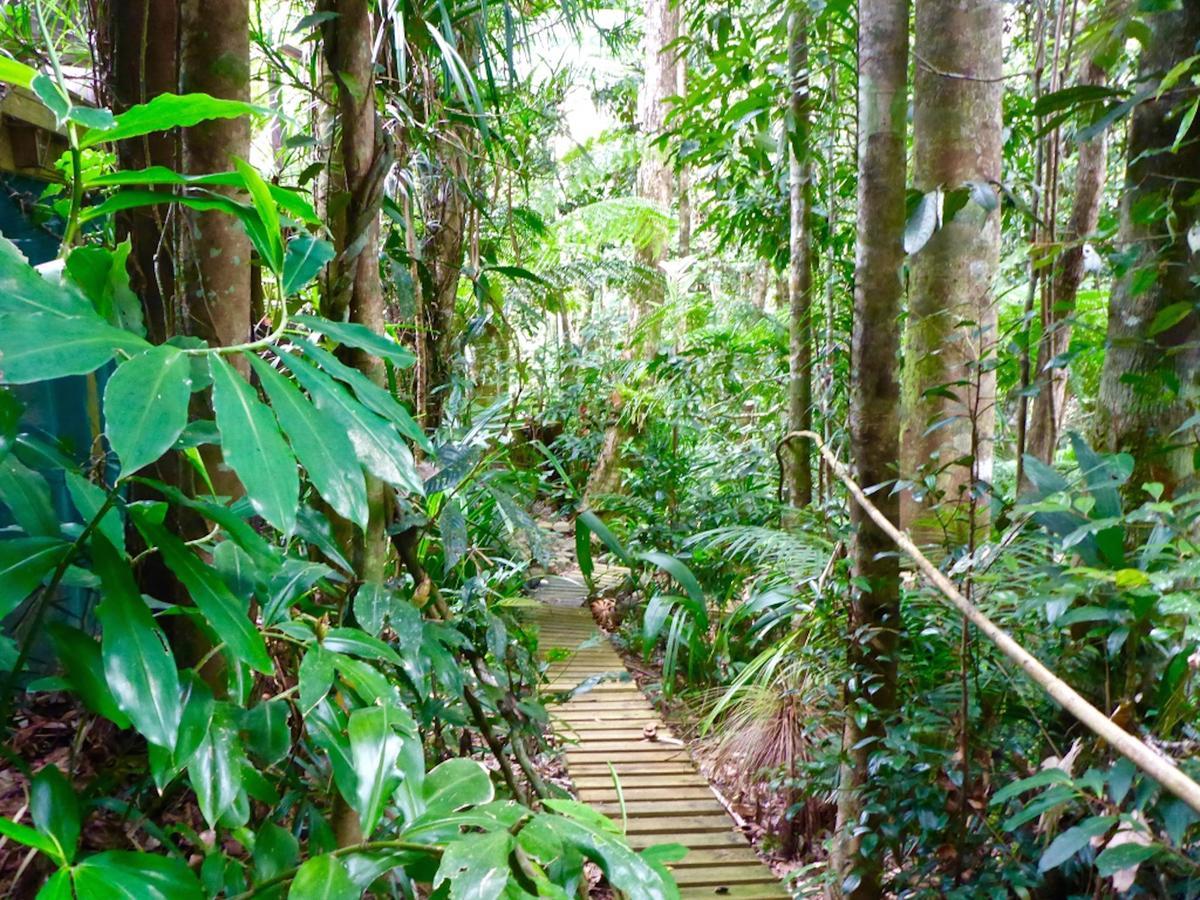 Kuranda Ngorongoro Lodge Buitenkant foto